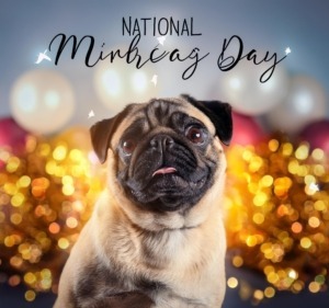 National Pug Day Celebration