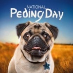 National Pug Day Celebration