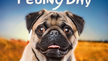 National Pug Day Celebration