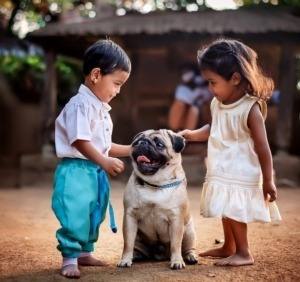 pug puppy socialization