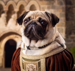 Pugs in the Middle Ages