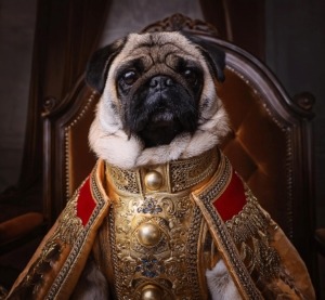 History of Pugs