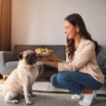 Expert Tips on Choosing the Best Food for Your Pug