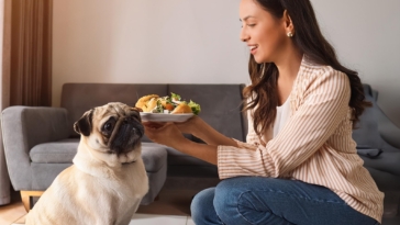 Expert Tips on Choosing the Best Food for Your Pug