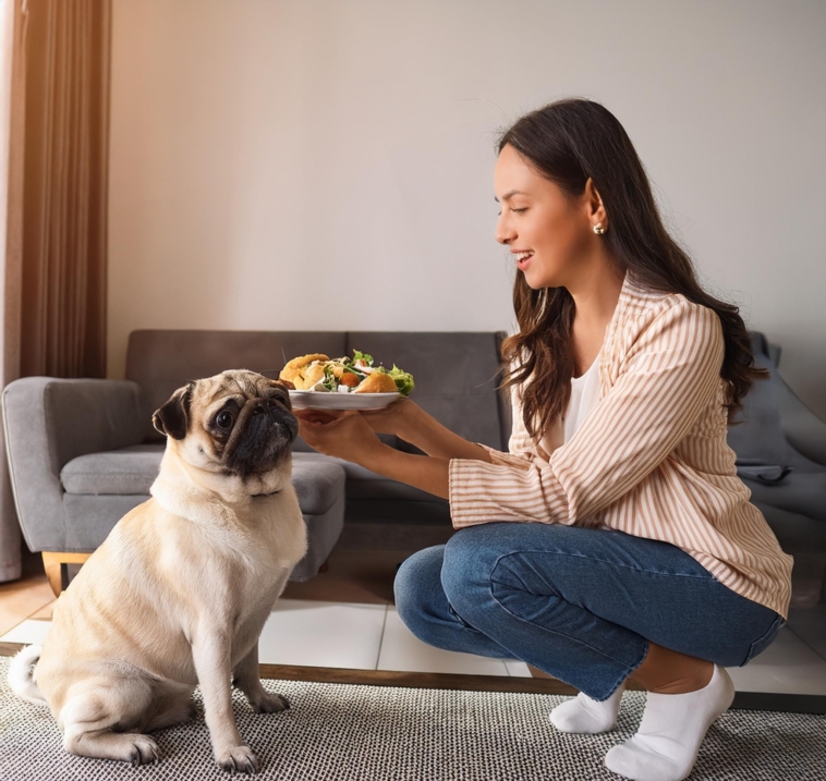 Expert Tips on Choosing the Best Food for Your Pug