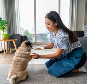 Expert Tips on Choosing the Best Food for Your Pug