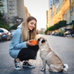 The Ultimate Guide to the Best Pug Food