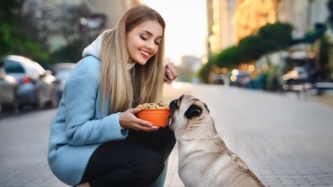 The Ultimate Guide to the Best Pug Food