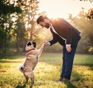 retro-pug-get-training