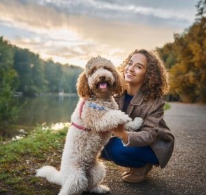 Is the Lagotto Romagnolo Really Hypoallergenic? Discover the Truth!