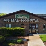 A Comprehensive Guide to Banfield Pet Hospitals: Services, Quality, and Care