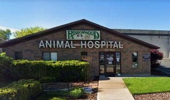 A Comprehensive Guide to Banfield Pet Hospitals: Services, Quality, and Care