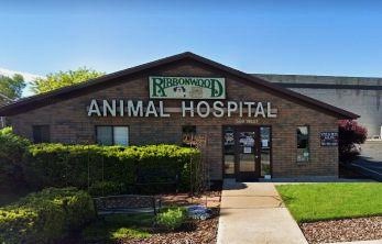 A Comprehensive Guide to Banfield Pet Hospitals: Services, Quality, and Care