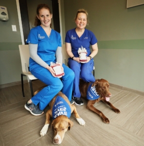 A Comprehensive Guide to BluePearl Pet Hospitals: Services and Specialties