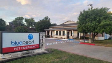 Exploring the Advanced Services at BluePearl Veterinary Care Pet Hospitals