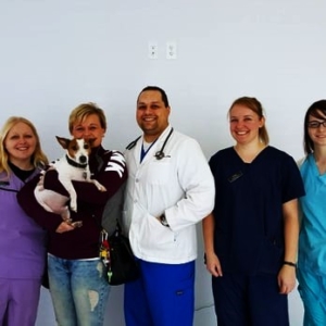 A Comprehensive Guide to Banfield Pet Hospitals: Services, Quality, and Care