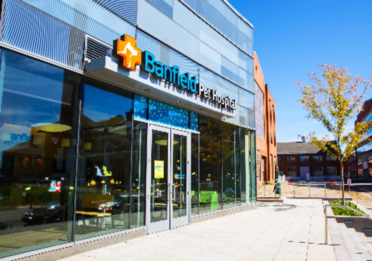 Unveiling the Exceptional Care at Banfield Pet Hospitals