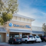 A Comprehensive Guide to BluePearl Pet Hospitals: Services and Specialties