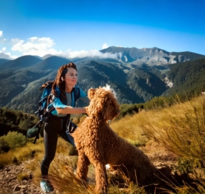 Adventurous Activities for Your Lagotto Romagnolo