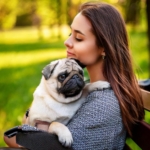 Why Fawn Pugs Make the Perfect Family Pet