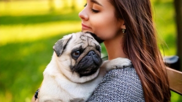 Why Fawn Pugs Make the Perfect Family Pet