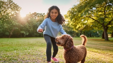 The Ultimate Guide to Training Apps for Lagotto Romagnolo Dogs