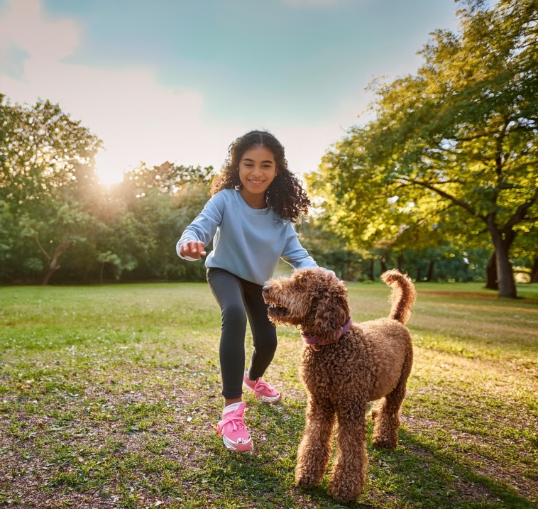 The Ultimate Guide to Training Apps for Lagotto Romagnolo Dogs