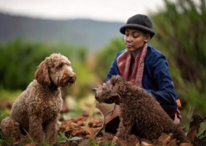 Understanding the Unique Behavioral Characteristics of the Lagotto Romagnolo