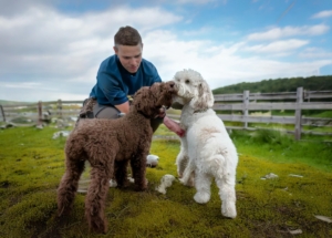 Behavioral Characteristics of the Lagotto Romagnolo