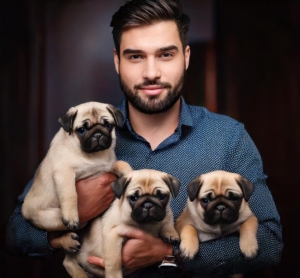 A master care his pug puppies