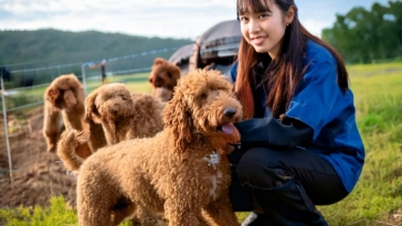 Lagotto Romagnolo Rescue Organizations: How You Can Make a Difference