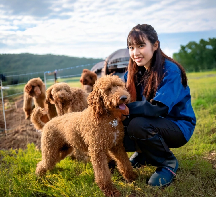 Lagotto Romagnolo Rescue Organizations: How You Can Make a Difference