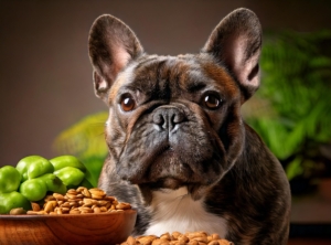 Top 10 Best Foods for French Bulldogs: A Comprehensive Guide