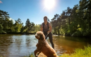 Lagotto Romagnolo Training 101