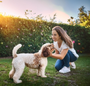 Happy Lagotto Romagnolo