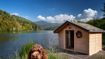 Lagotto Romagnolo home