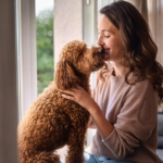 Pamper Your Lagotto Romagnolo and Make Them Feel Special