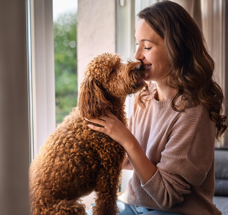 Pamper Your Lagotto Romagnolo and Make Them Feel Special