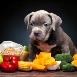 Pitbull Puppy Supplies