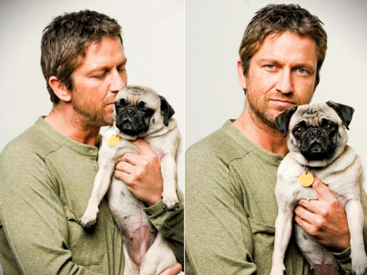 Gerard Butler Pug