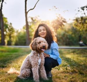  Lagotto Romagnolo as Your Family Pet