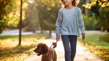 Walking Your Lagotto Romagnolo Safely: Expert Leash Tips