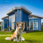 Bluepearl pet hospital