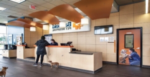 Unveiling the Exceptional Care at Banfield Pet Hospitals