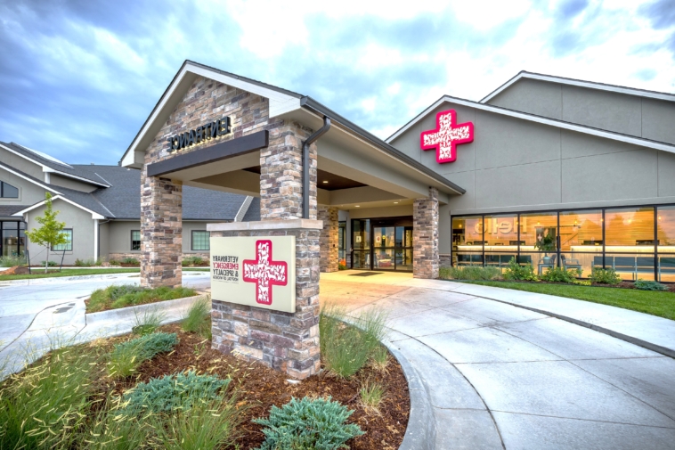 How VCA Emergency Pet Hospitals Prioritize Your Pet's Health