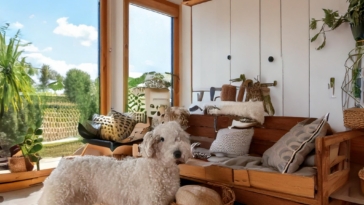 Lagotto Living Space