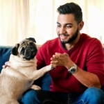 Pug Owner Personality Quiz