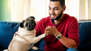 Pug Owner Personality Quiz