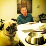 Robin Williams pug