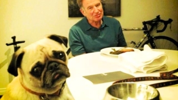 Robin Williams pug